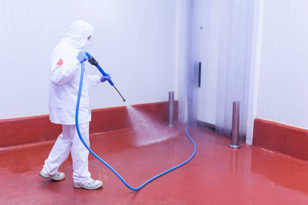 Best Roof Washing  in Midway, FL